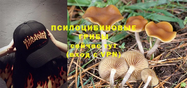 а пвп мука Мегион