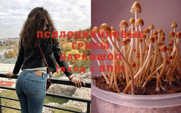 дмт Михайлов
