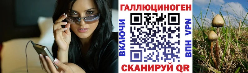 блэк спрут ТОР  наркота  Буй  Галлюциногенные грибы мицелий 